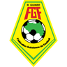 Guinea-logo