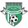 Dukagjini-logo
