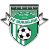 Dukagjini